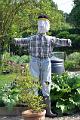 Allotments scarecrow